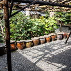 Kyoto 2019, Kanjiro Kawai’s house